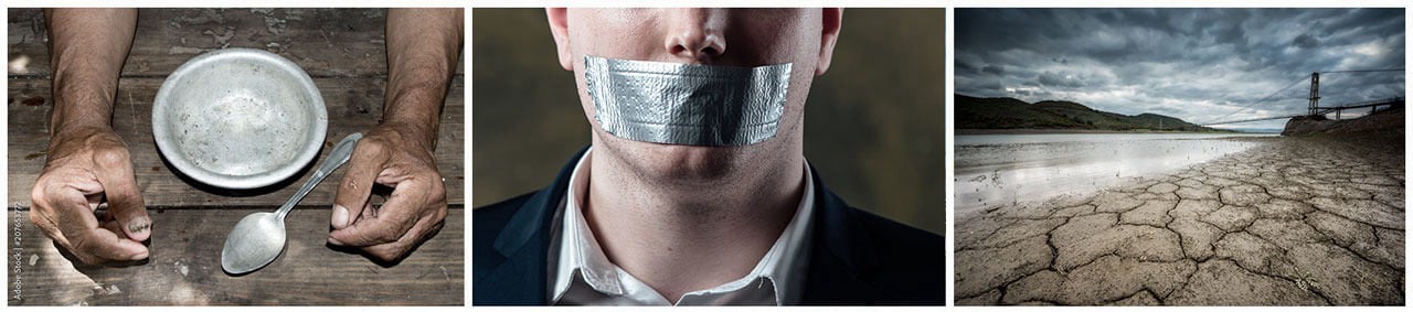  Combines multiple survival disciplines (medicine, trapping, food, water, and more) into one streamlined system